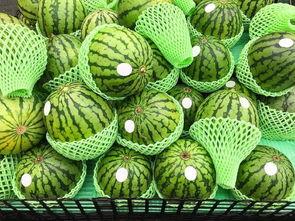 西藏旅游吃瓜,探寻高原美食的独特风味